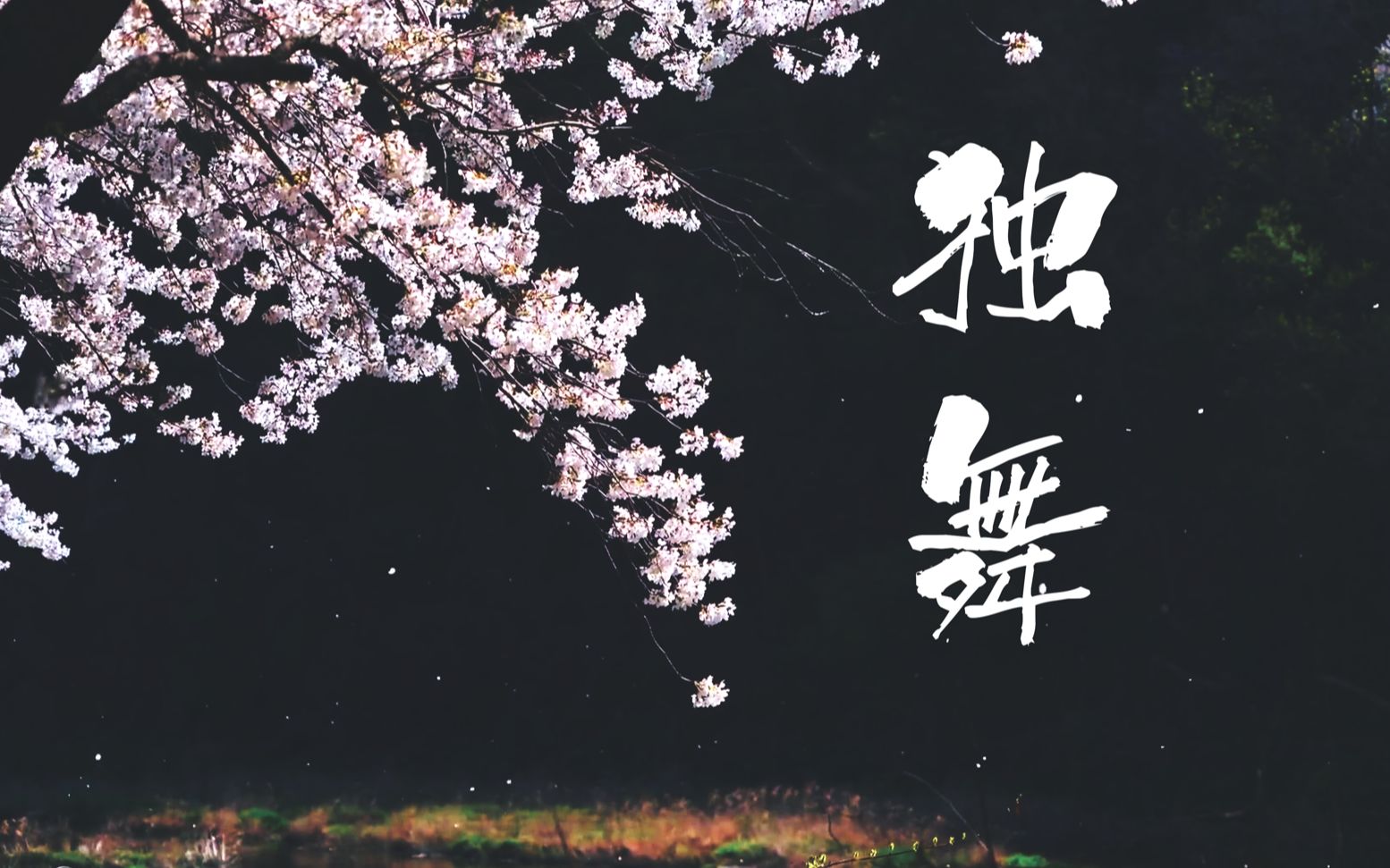 独舞 原创小时姑娘-爱殇 mv