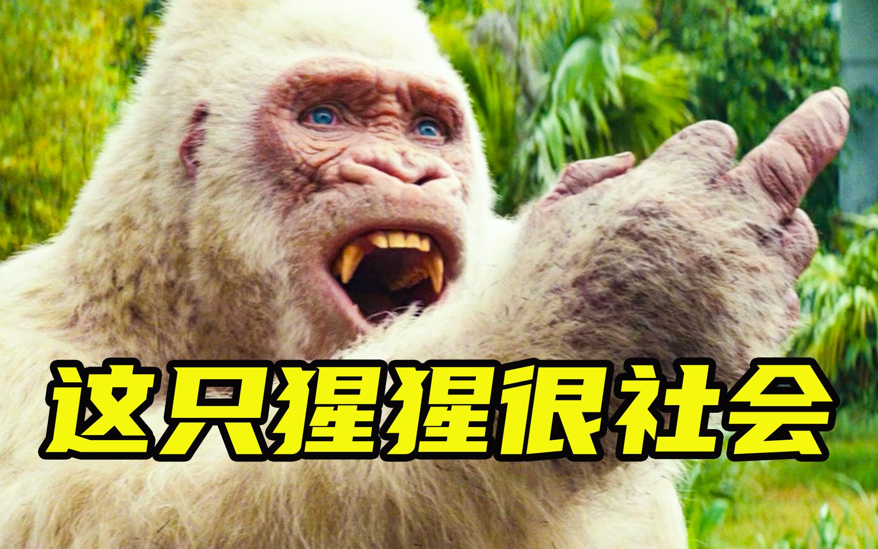 猩猩被变毒感染,一夜之间变成狂暴巨兽