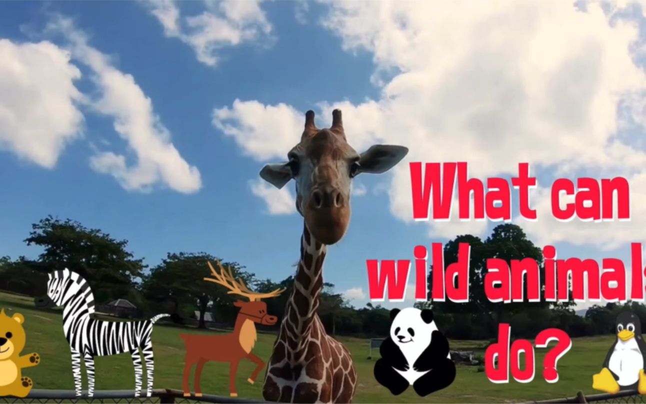 英文视频-what can wild animal do？野生动物会什么？真实视频-孩子喜欢的英文学习视频