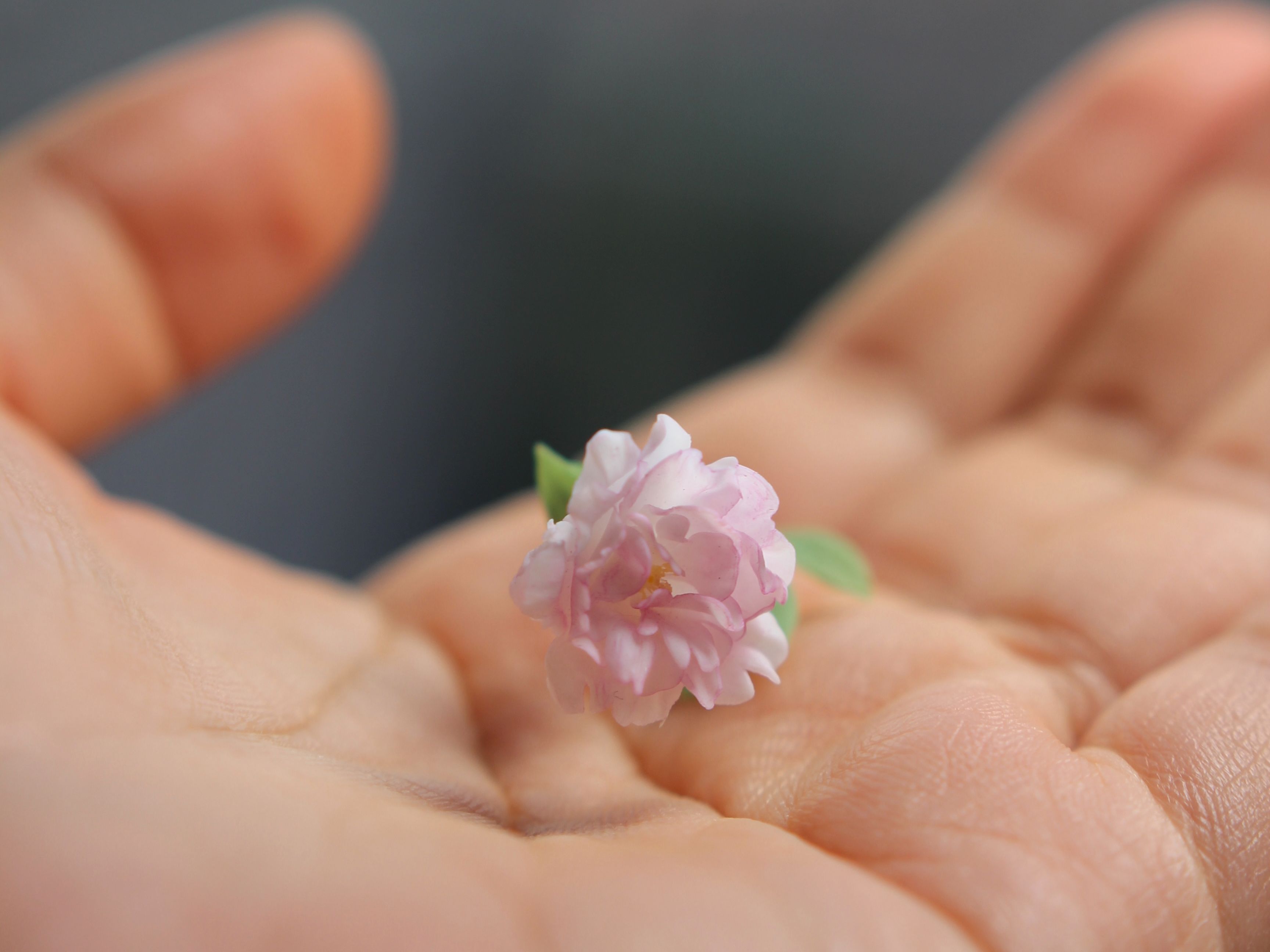 芍药花教程 微缩粘土花哔哩哔哩bilibili