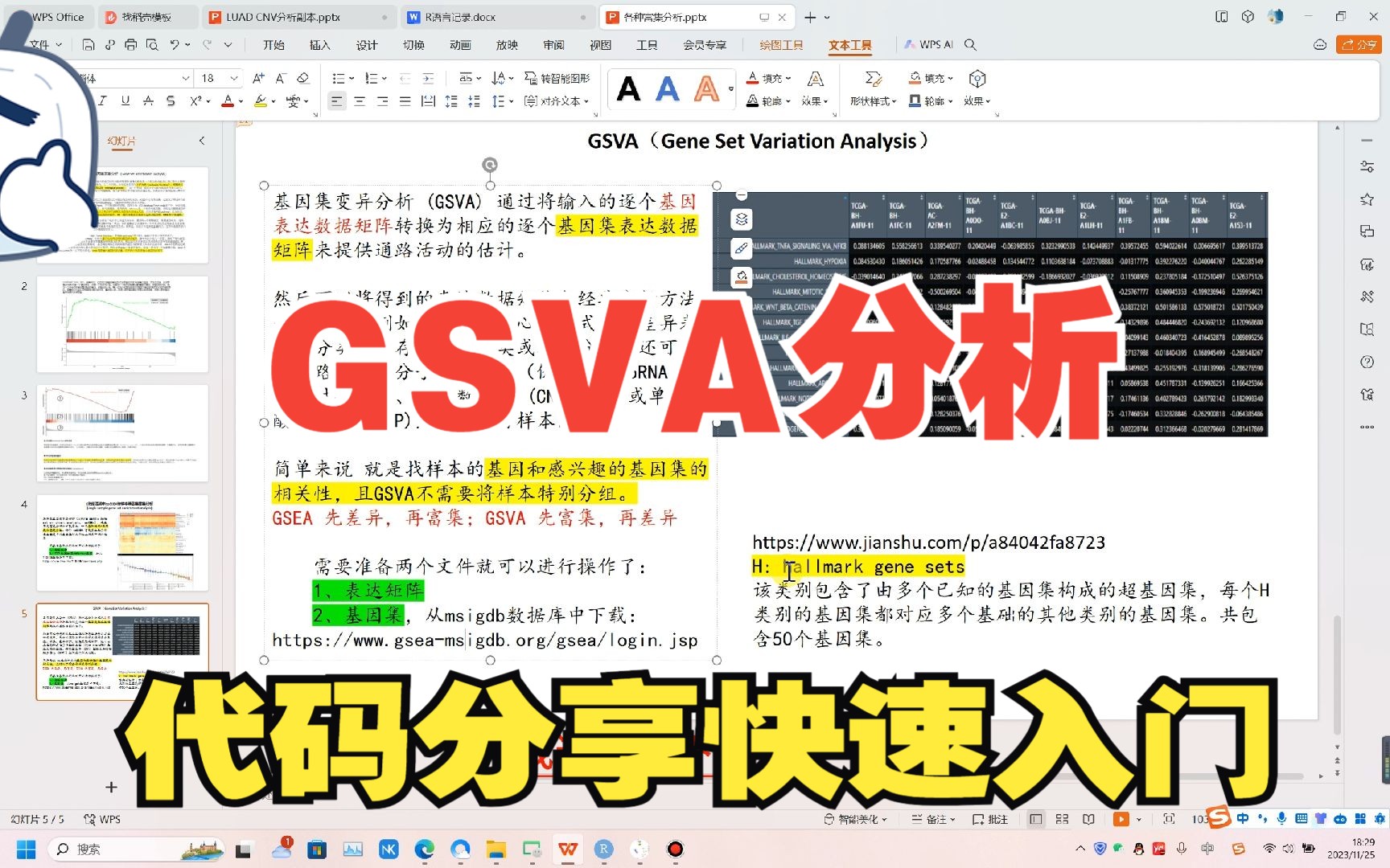 GSVA富集分析GEO和TCGA数据通用7分钟掌握哔哩哔哩bilibili