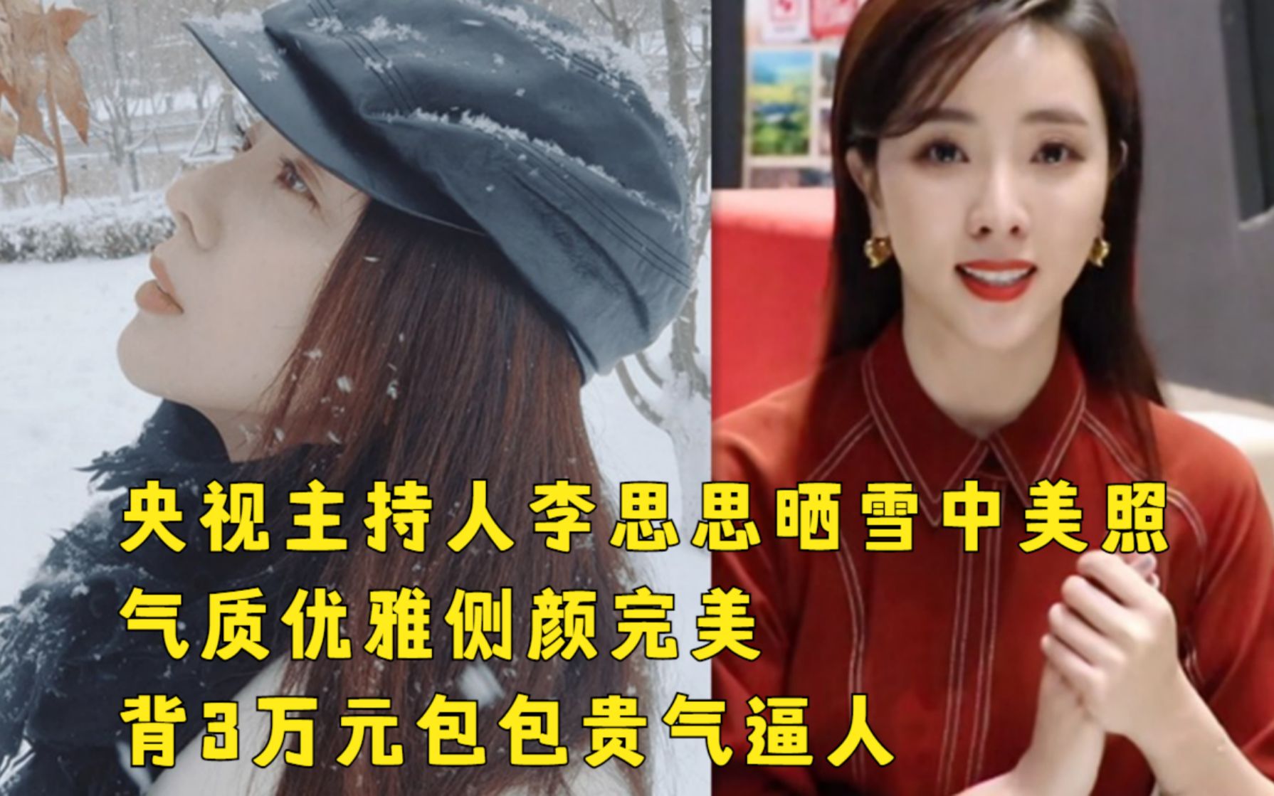 央視主持人李思思曬雪中美照氣質優雅側顏完美背3萬元包包貴氣逼人