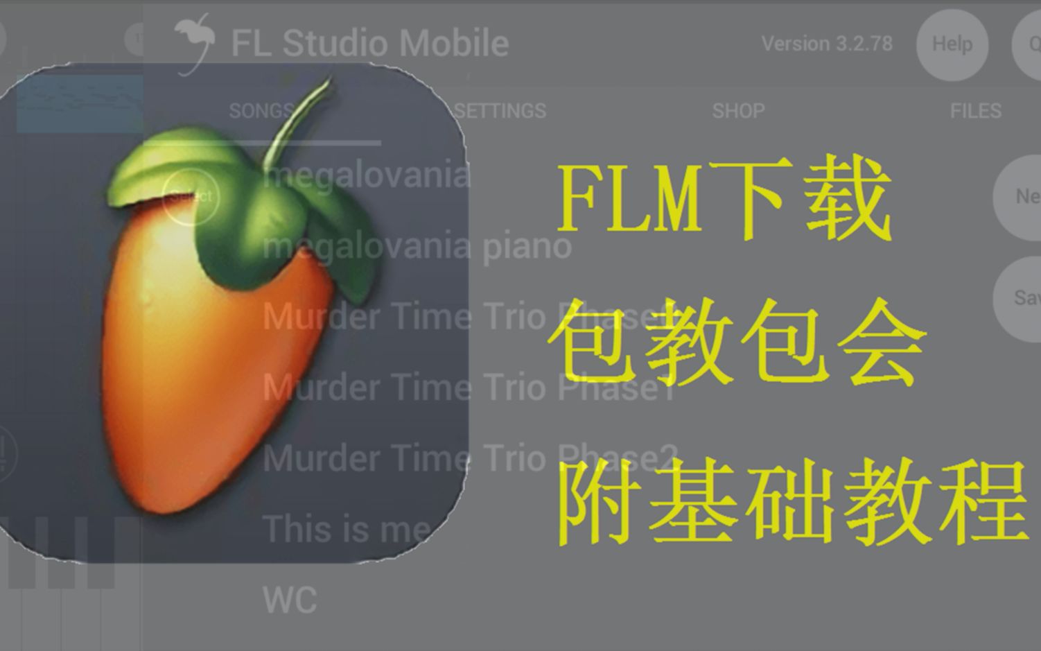 flm安装包(下载使用教程)哔哩哔哩bilibili