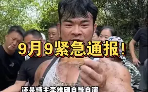 Download Video: 一开始都以为不严重,直到文旅曝光自金凤村后的收入….......