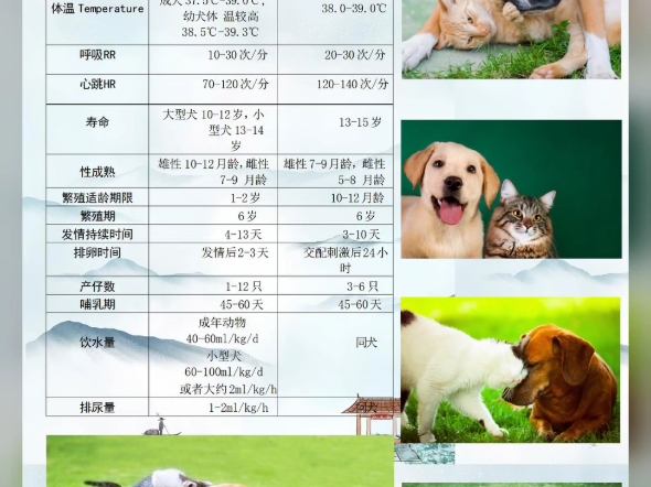 每日科普:犬猫正常生理指标哔哩哔哩bilibili