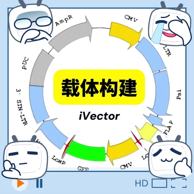 Pet32a载体和Pet28a载体质粒区别❗❗哔哩哔哩bilibili