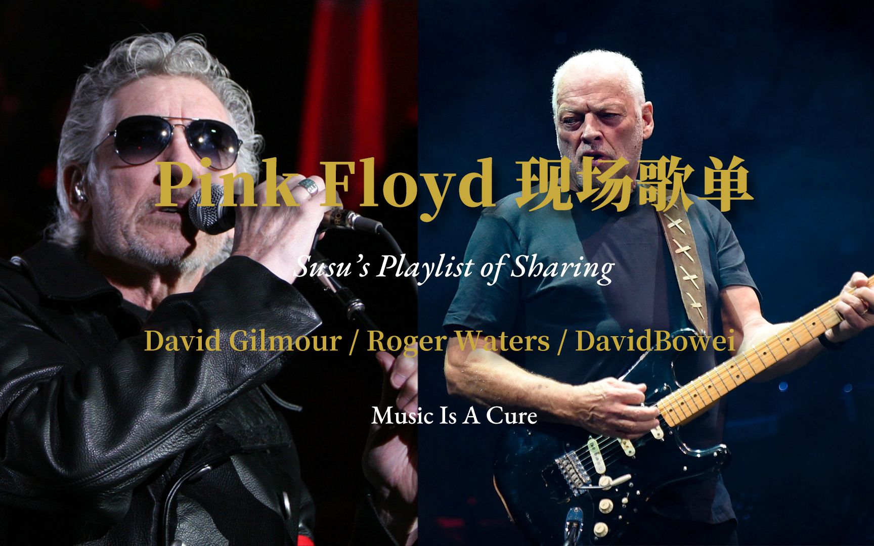 【苏苏的快闪视频】pink floyd的三首音乐现场