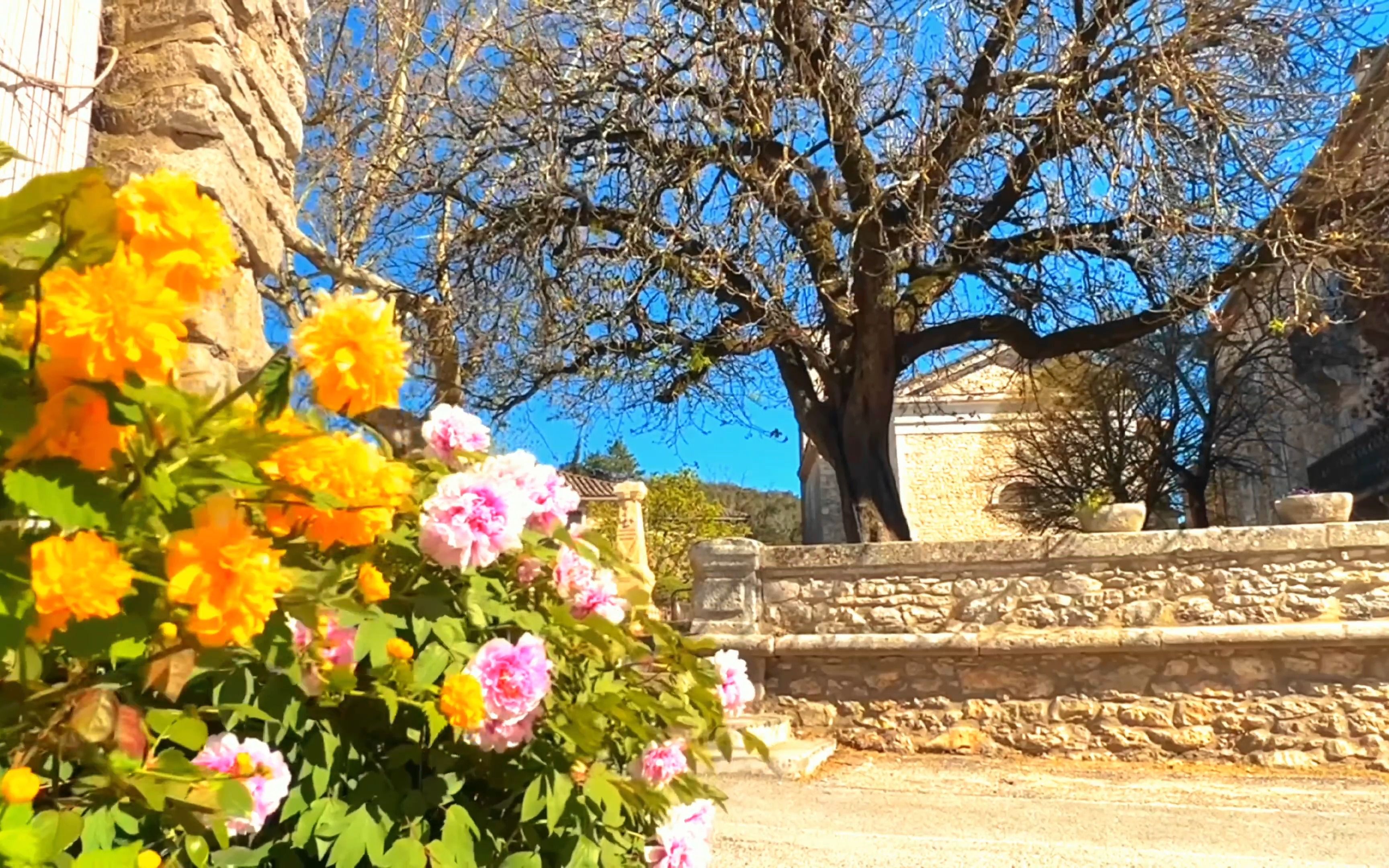 梦幻中的法式乡村法国最美丽的村庄之蒙克吕(montclus)