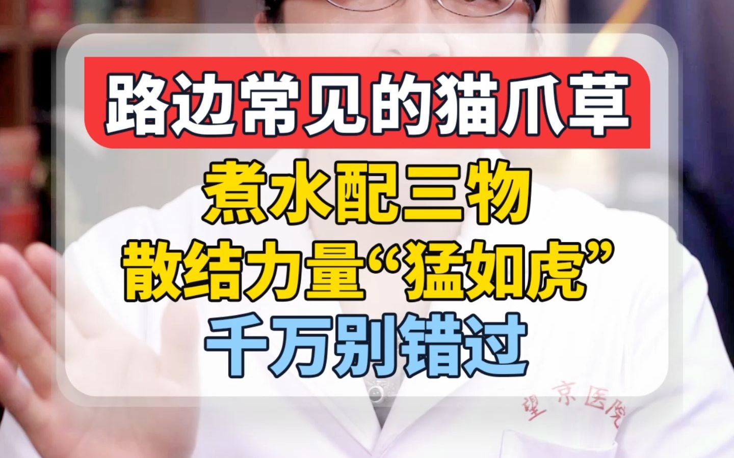 路边常见的猫爪草,煮水配三物,散结力量“猛如虎”,千万别错过哔哩哔哩bilibili