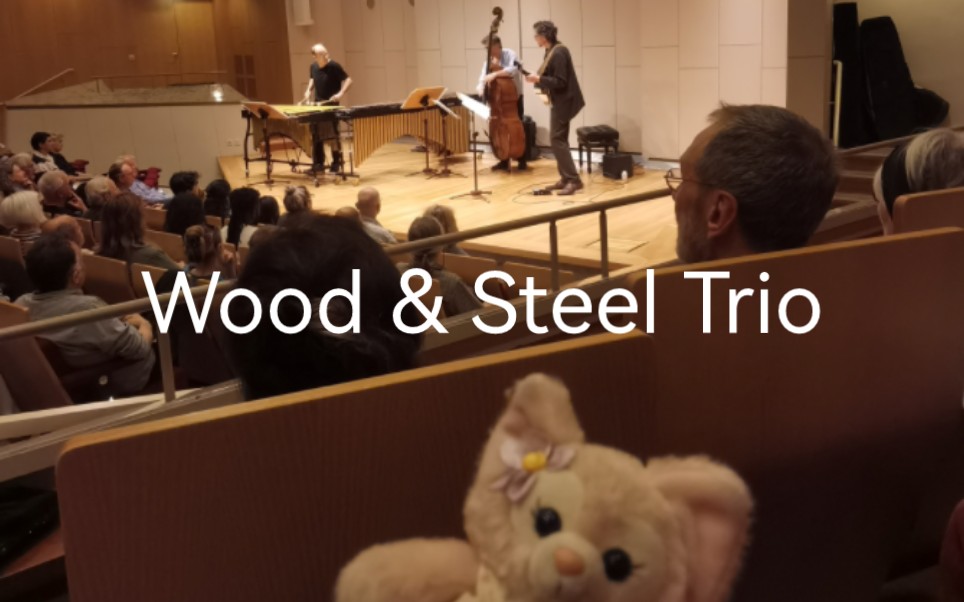 jazz三重奏| Wood & Steel Trio哔哩哔哩bilibili