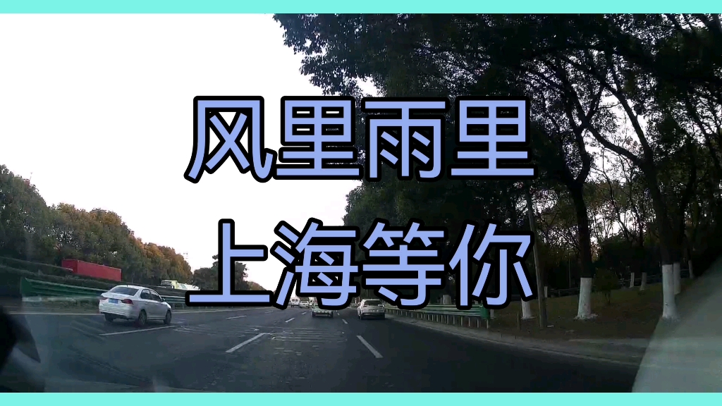 风里雨里上海等你