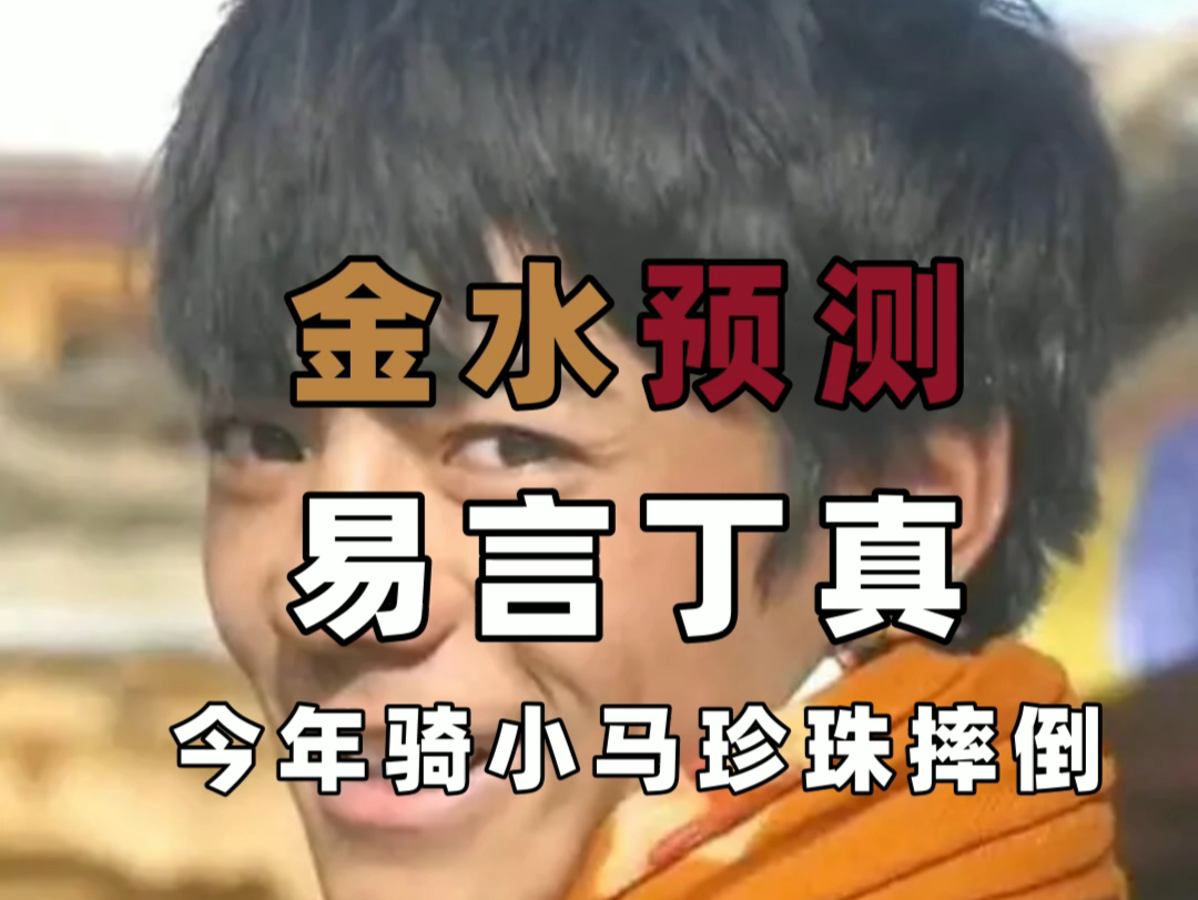易言丁真,鉴定为:今年骑小马珍珠摔倒