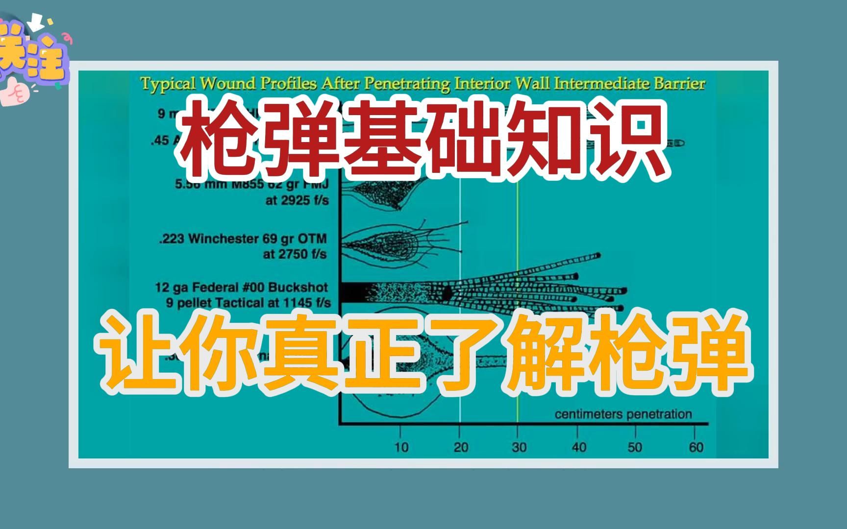 枪弹基础知识,全部大白话介绍,让你真正了解枪弹,成为有料的军迷哔哩哔哩bilibili