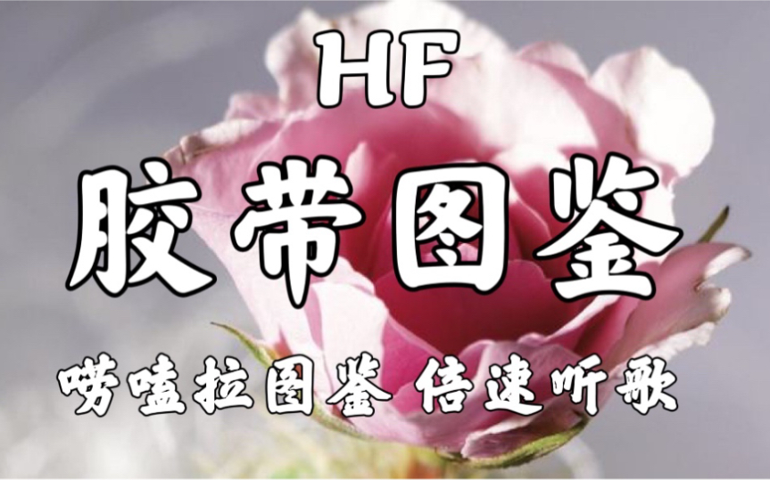 【HF】胶带图鉴vol.160 造景款 背景款 唠嗑拉图鉴 倍速听歌哔哩哔哩bilibili