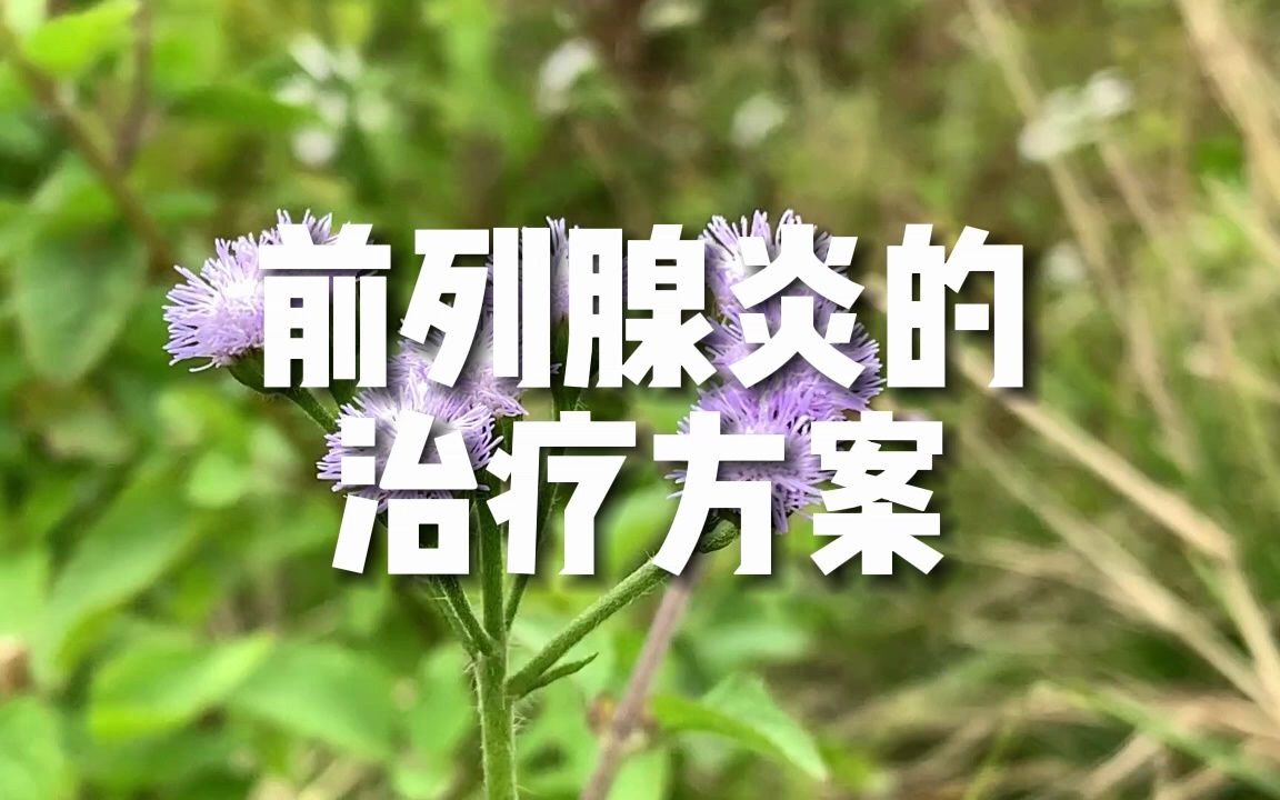 前列腺炎的治疗方案哔哩哔哩bilibili