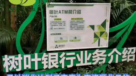 树叶银行，隐藏在东山湖公园的树叶银行，树叶回收变废为宝改良土壤，巧妙宣传垃圾分类