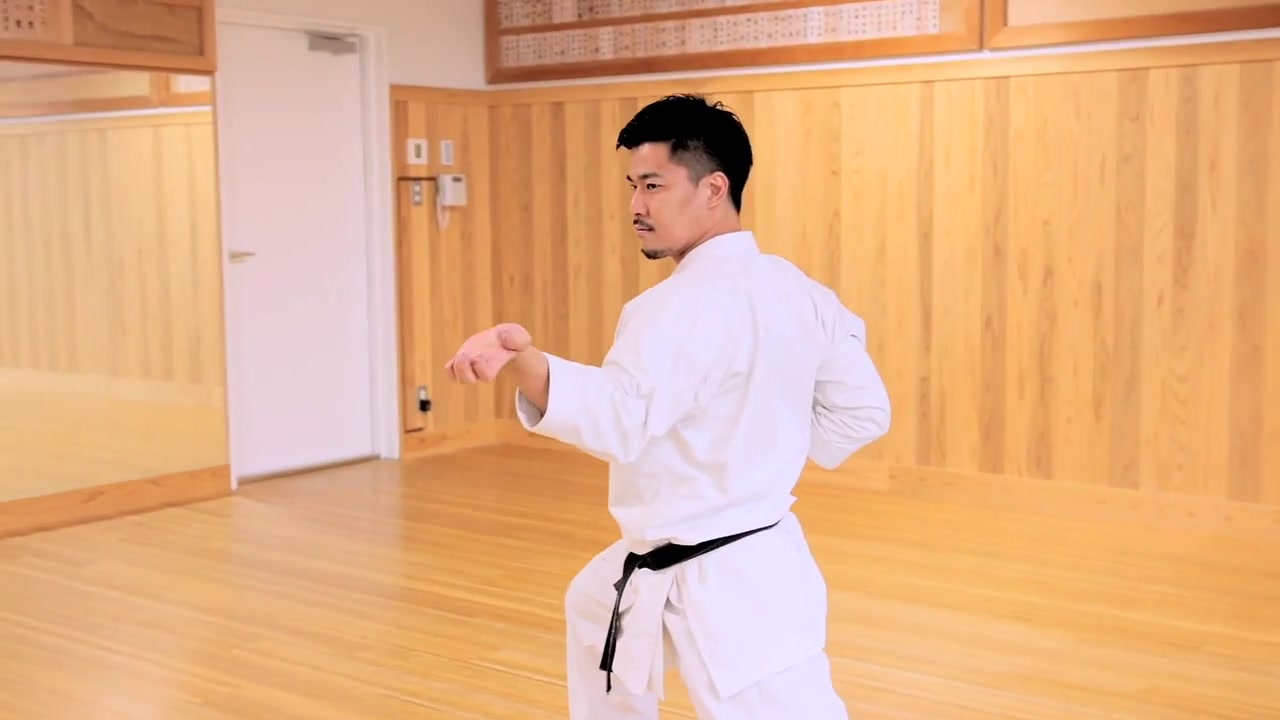 松涛馆流空手道-古典型-鹤翼二段-慢动作及拆解_哔哩哔哩 (゜-゜)つロ