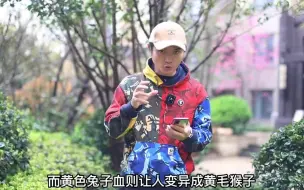 Video herunterladen: 《揭秘动物园规则》：你们喜欢看吗？旅行大玩家 幻想家的旅途 踏青好去处