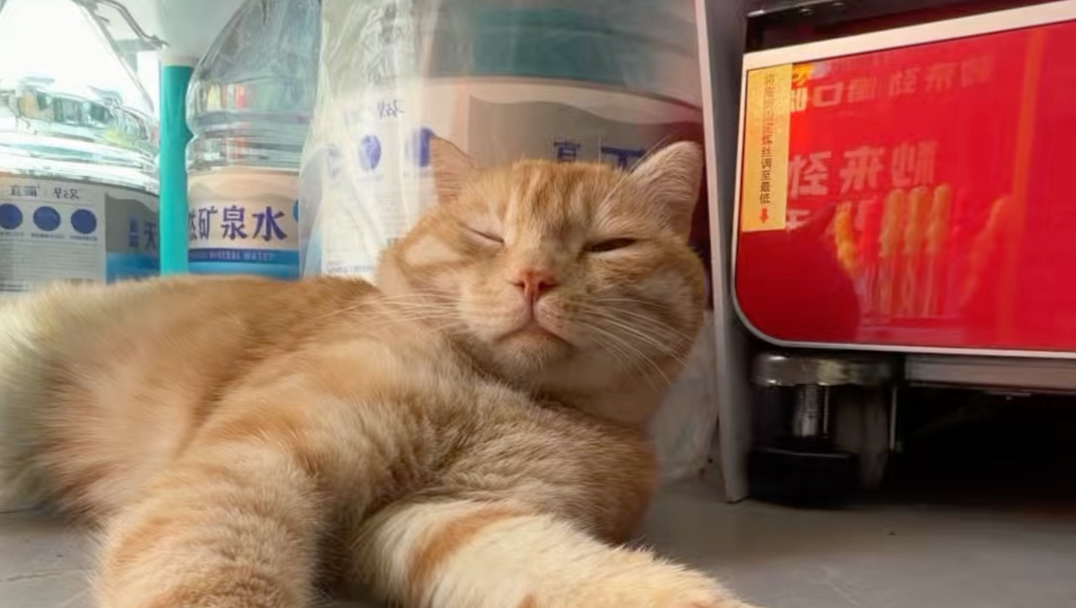 小小声波比波