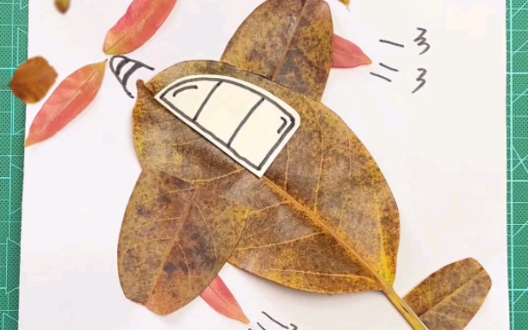 用树叶做一幅飞机贴画,庆祝秋天的到来