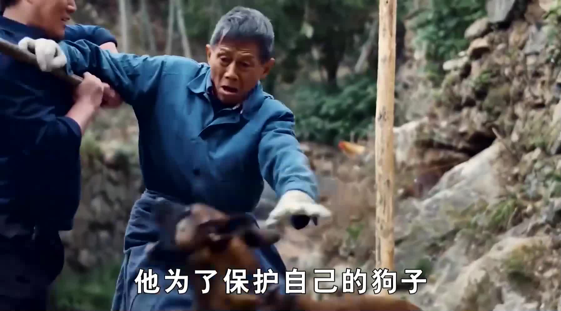 感人催泪剧,战犬出击3,你救我一命,我护你一生