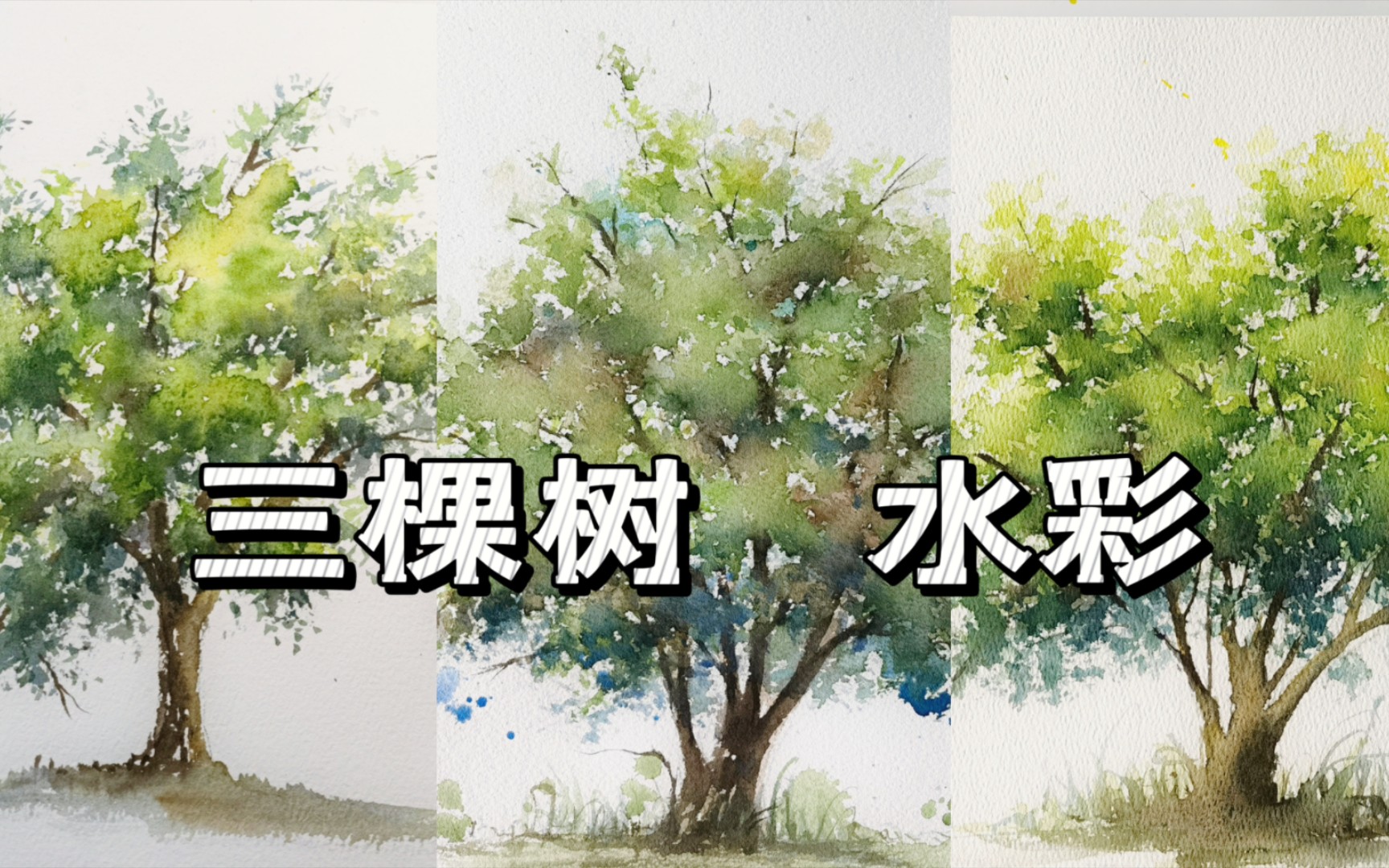 三棵绿色水彩大树的画法哔哩哔哩bilibili