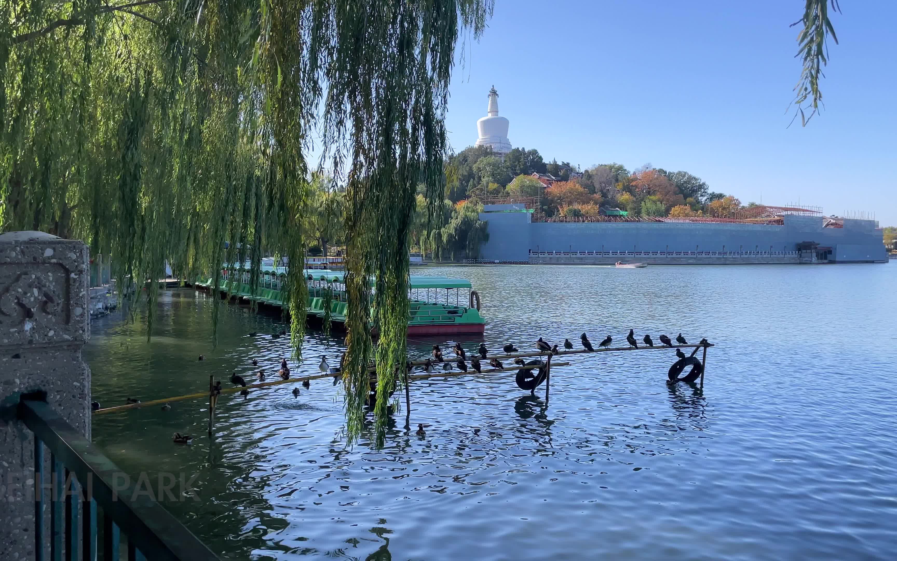 iphone124k60p镜头下的北海公园