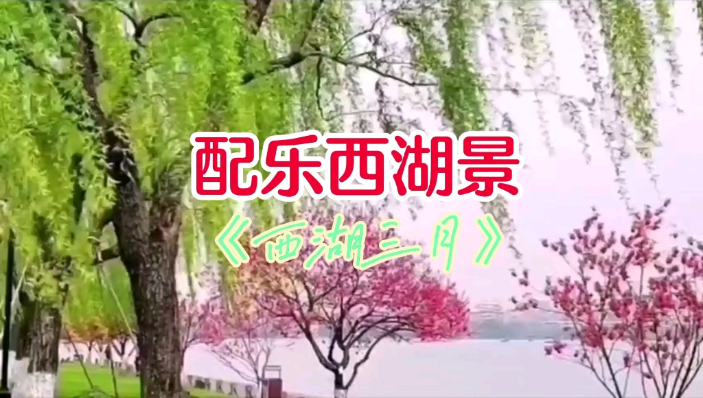 配乐西湖景《西湖三月》素材源于百家科技群哔哩哔哩bilibili