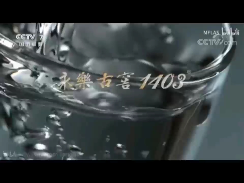 凤凰卫视中文台《五粮液·时事直通车》2023