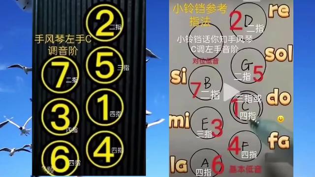 手风琴入门图示谱例怎么看(12)左手c调音阶