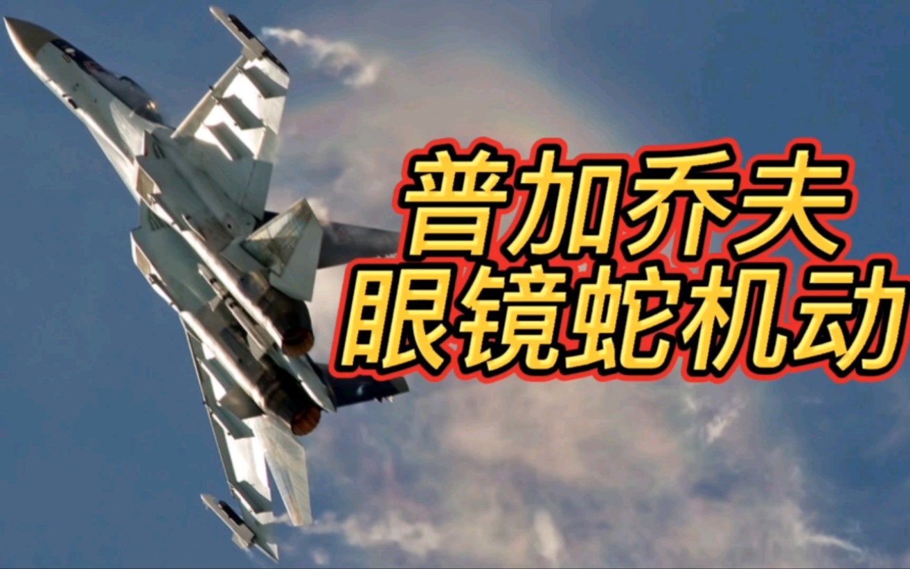 普加乔夫 眼镜蛇 机动