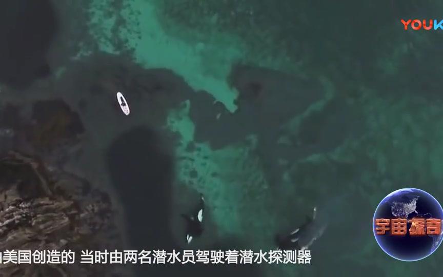 最深的海有多深 生活在深海底的生物是什么样子哔哩哔哩bilibili