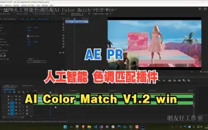 Download Video: AEPR人工智能 色调匹配 插件AI Color Match V1.2 win