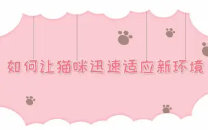 Descargar video: 【萌新养猫】-猫咪到新家，如何快速适应新环境？