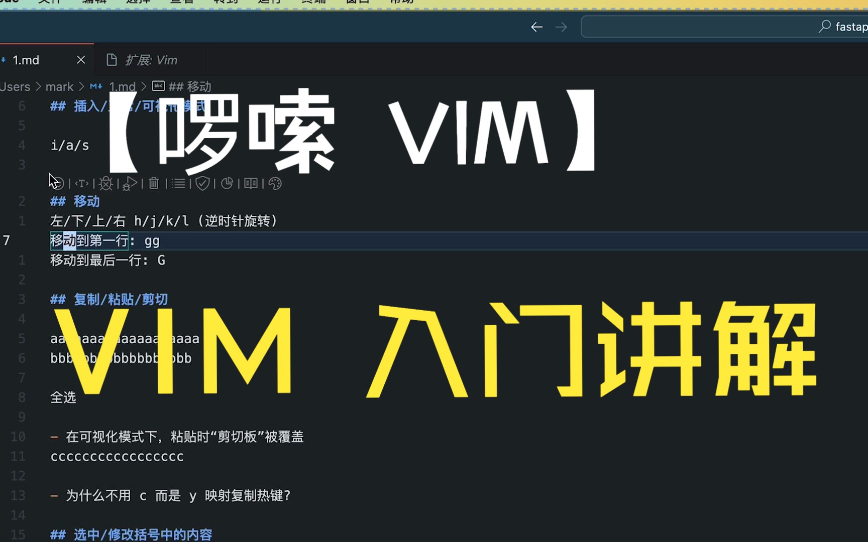 【啰嗦 VIM】新手入门 VIM 的常用操作讲解哔哩哔哩bilibili