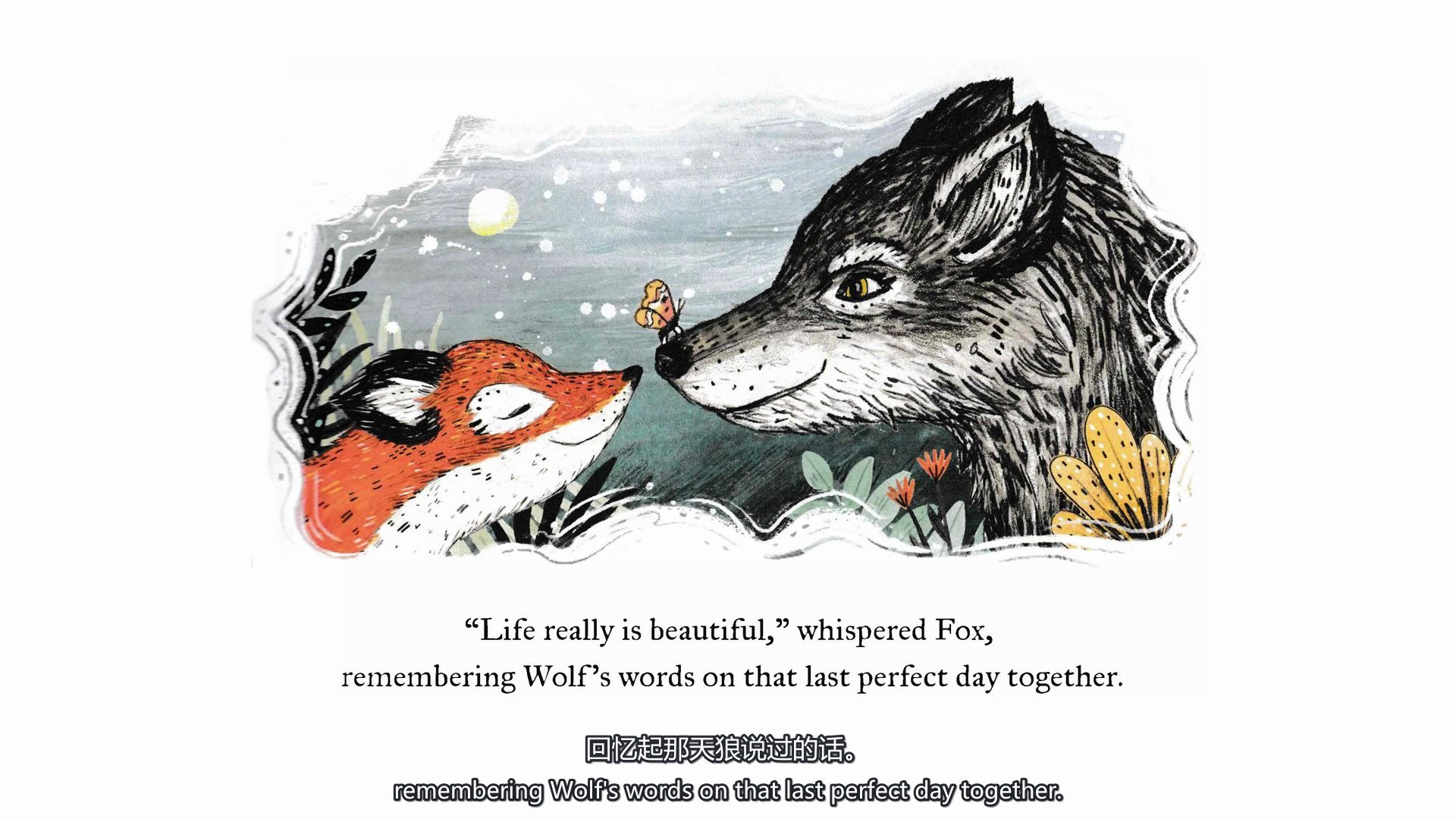 亲子英文绘本阅读06waitingforwolf星空下的等待