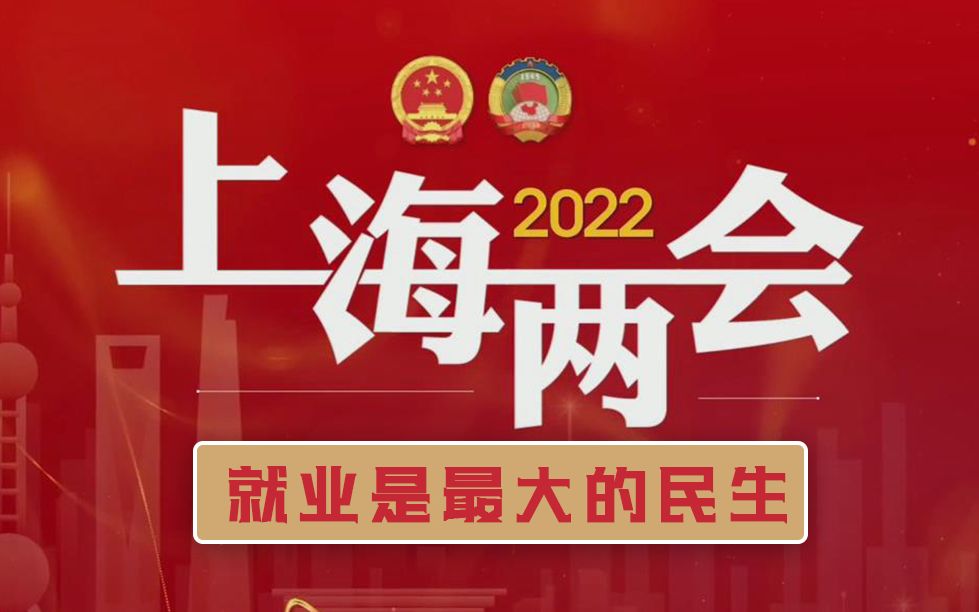 [图]上海两会 l 上海市人社局局长：就业是最大的民生，将全力做好“六稳六保”工作