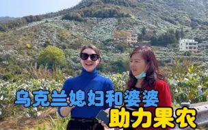 Télécharger la video: 乌克兰媳妇和婆婆被满山的枇杷所震撼，对果农的辛劳感到辛酸！