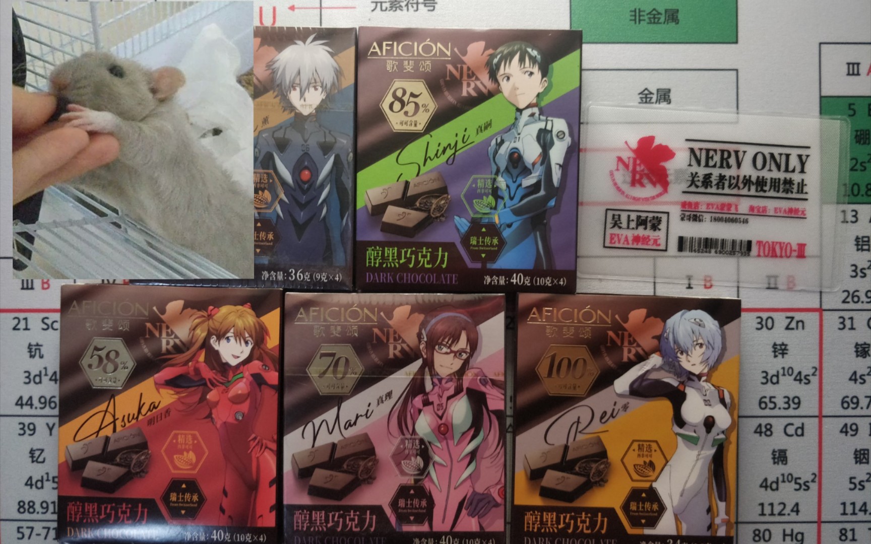 【花枝鼠】🐀试吃eva联名歌斐颂巧克力半吊子瞎唱残酷天使的行动