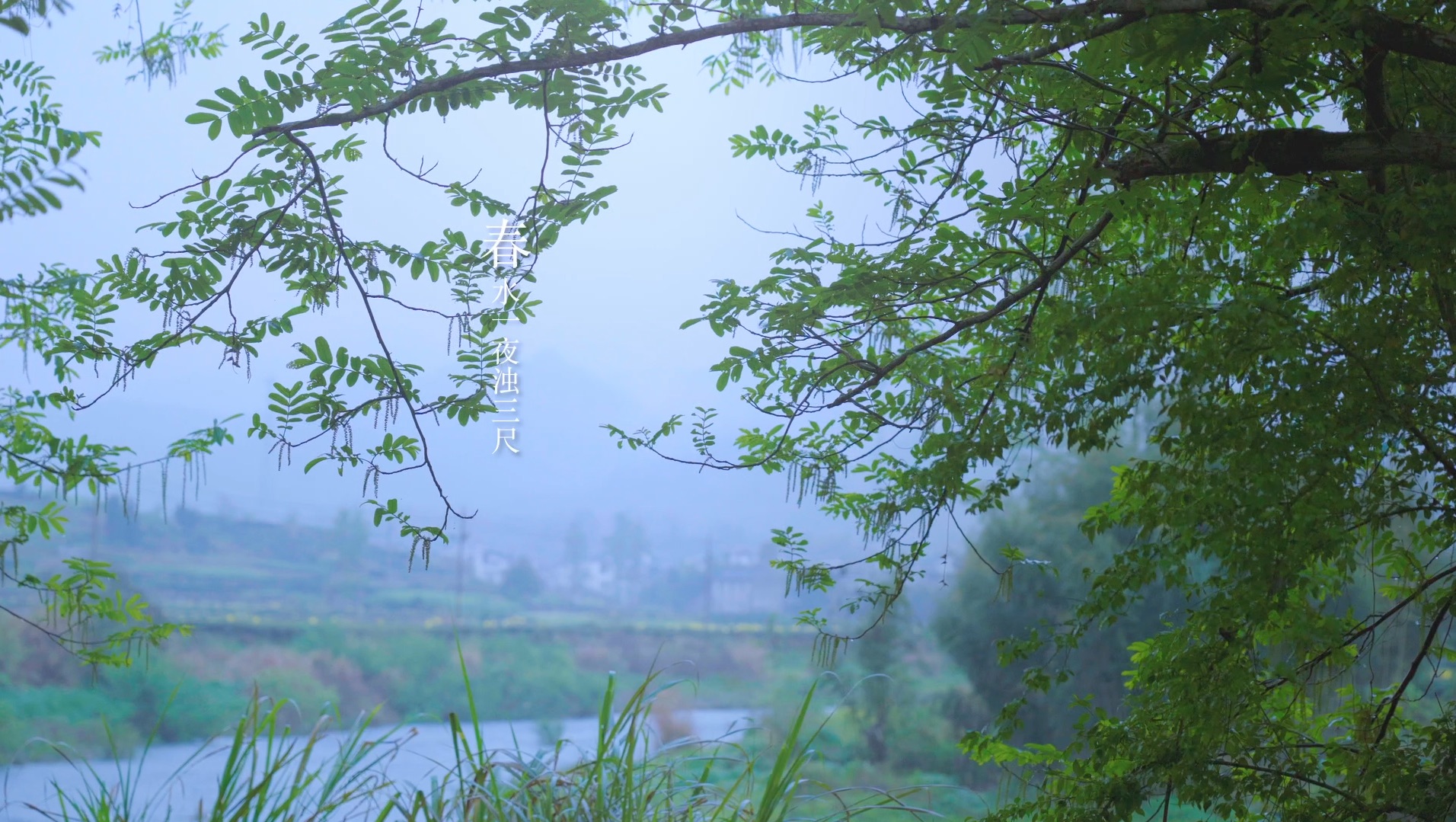 春水一夜浊三尺,雨生百谷到处湿.过尽青青添黛色,犹抱半山烟雨枝.哔哩哔哩bilibili