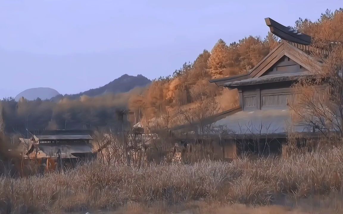 我言秋日胜春朝 #赵丽颖#知否#知否空镜