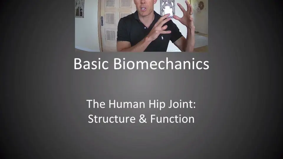 Biomechanics Lecture 5: Shoulder Complex 