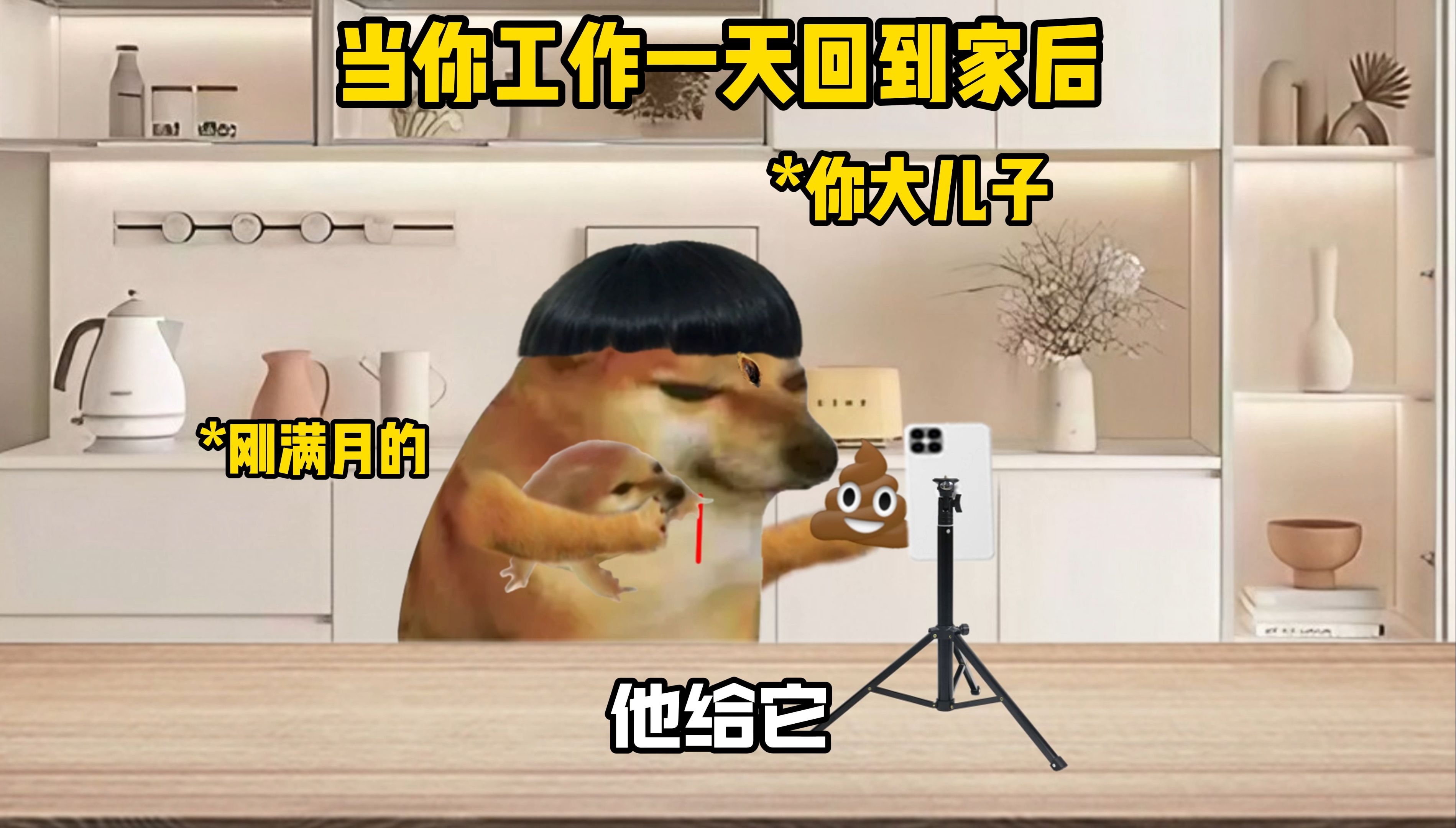 满门忠烈哔哩哔哩bilibili