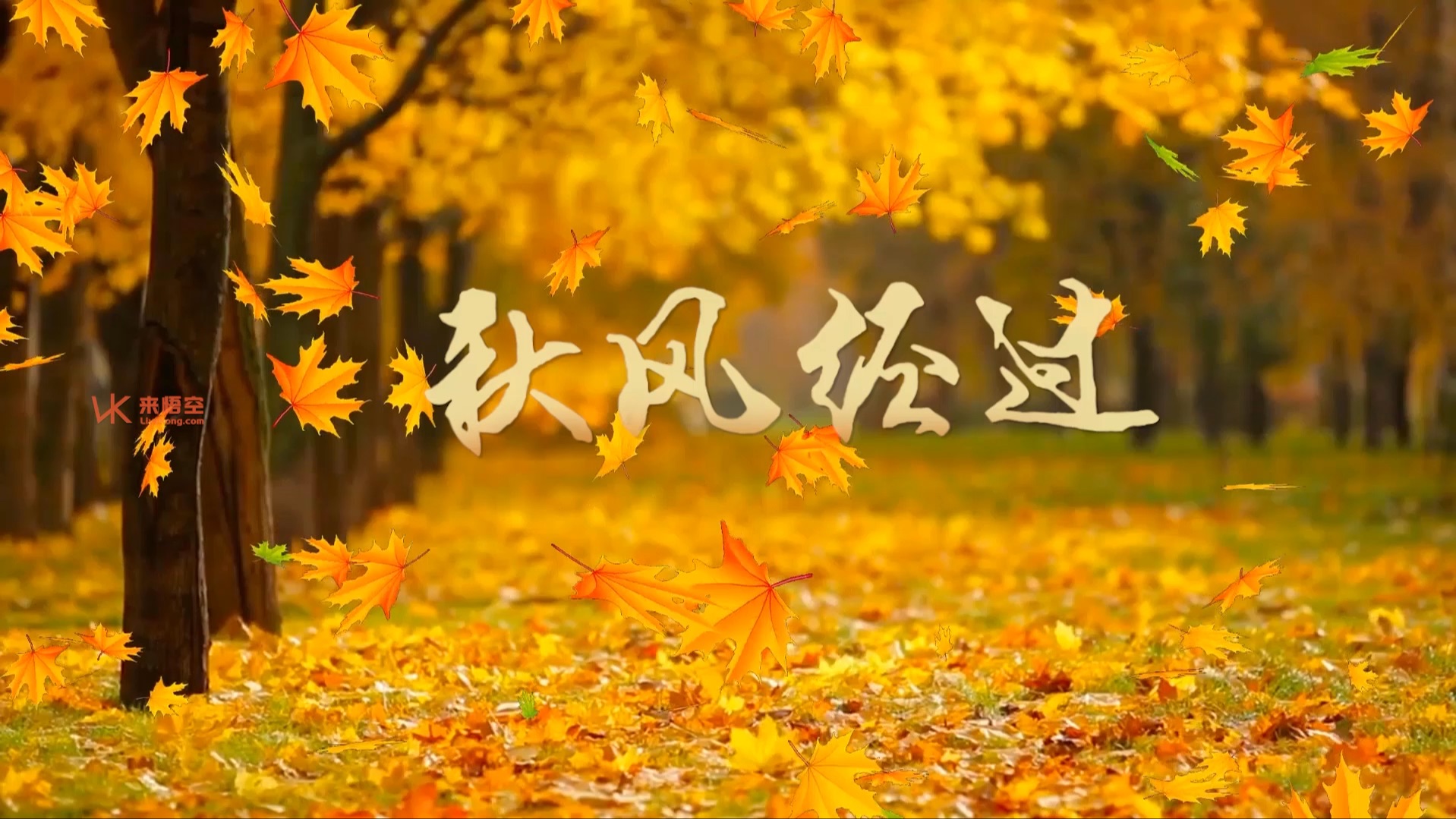 秋风歌曲(秋风歌曲原唱)