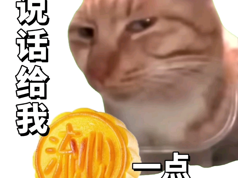 打工人限量版中秋表情包猫meme✨哔哩哔哩bilibili