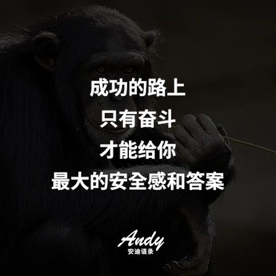 [图]Andy安迪语录_我若不勇敢 谁替我坚强