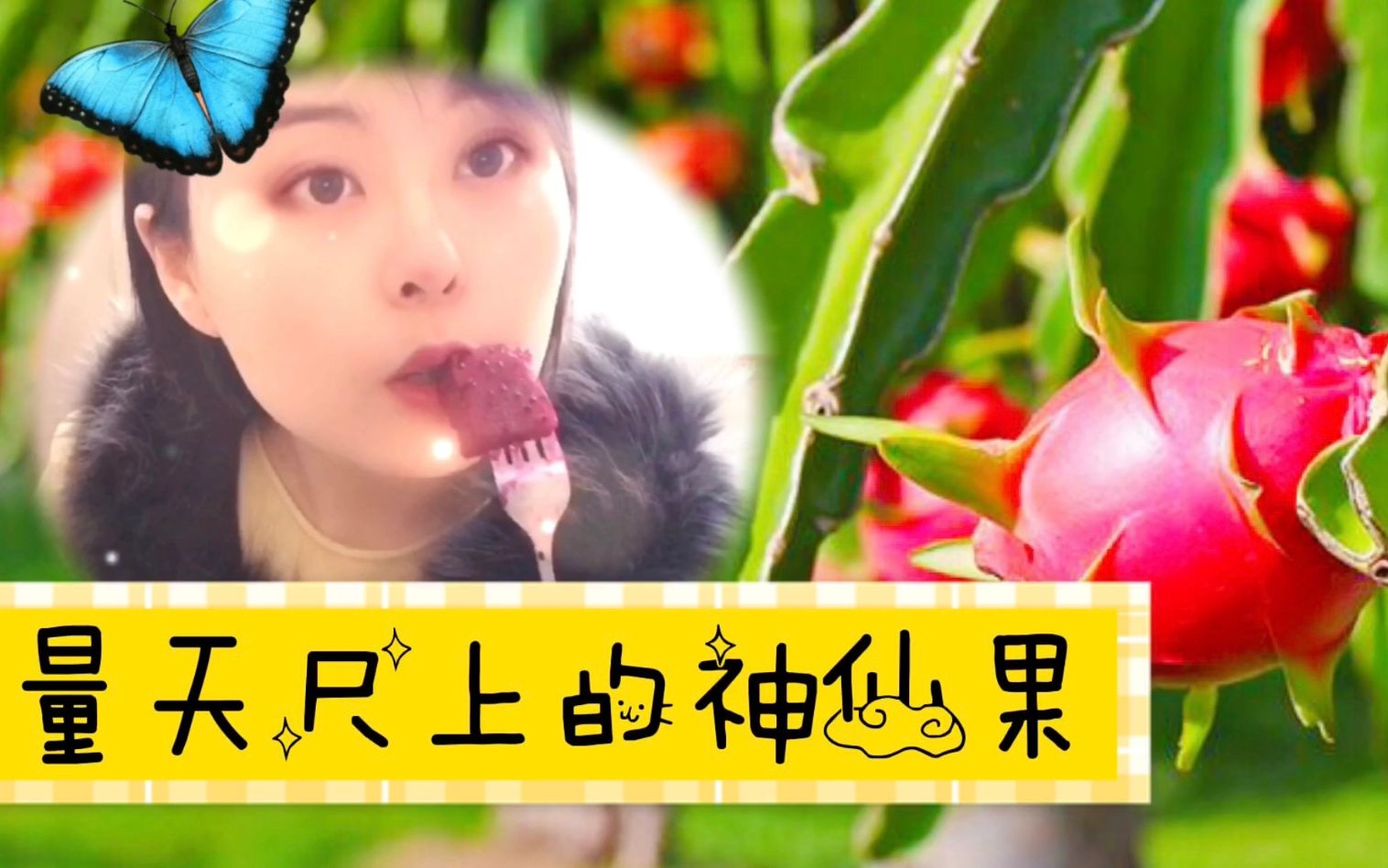 火龙果有妙用,看美女一边吃一边抹,请听量天尺和神仙果的故事!