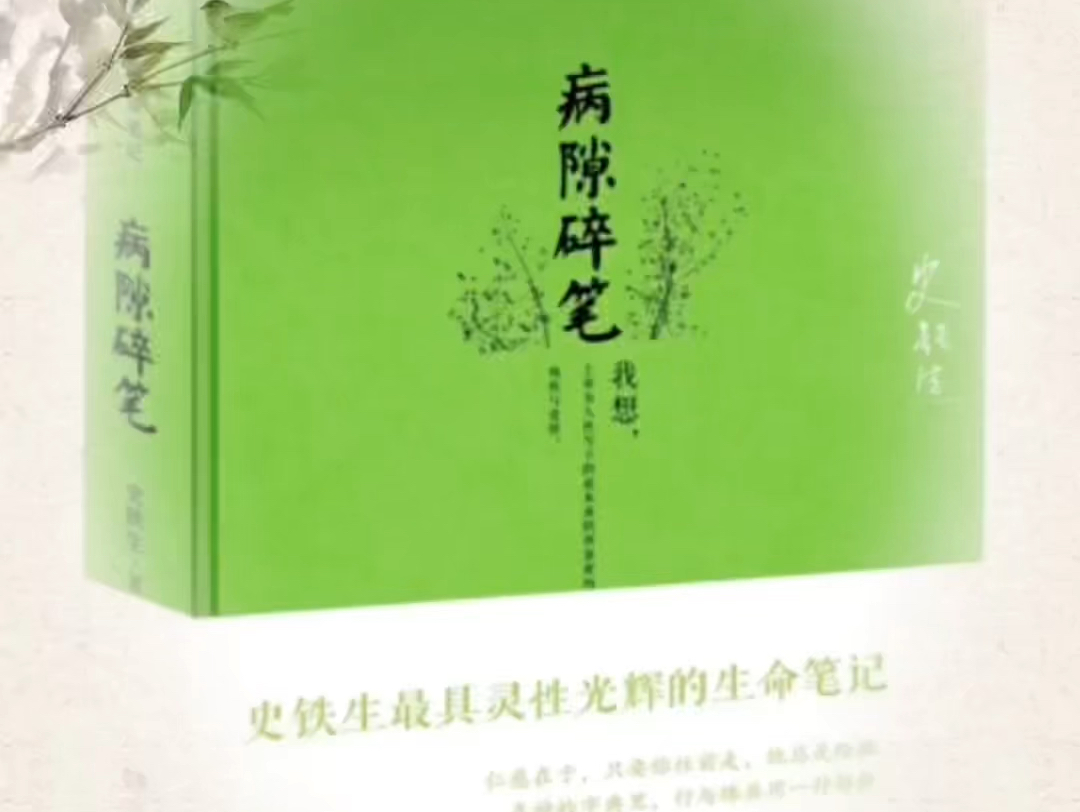 《病隙碎笔》是史铁生创作的散文集,首次出版于2002年2月.《病隙碎笔》是史铁生从他因身患尿毒症而接受透析治疗开始写起,利用四年的零碎时间创作...