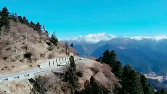 （日常投票倒计时2天)我正在参加五菱汽车