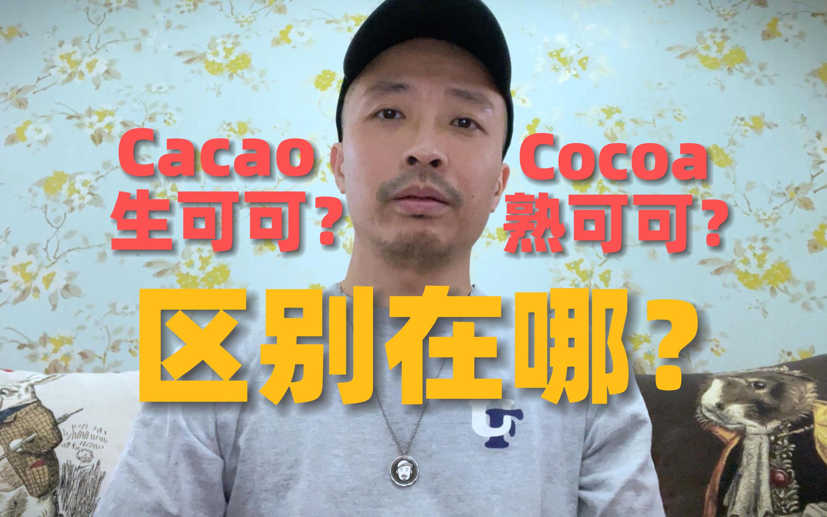 生可可和熟可可究竟是啥?cacao和cocoa究竟有啥区别?哔哩哔哩bilibili